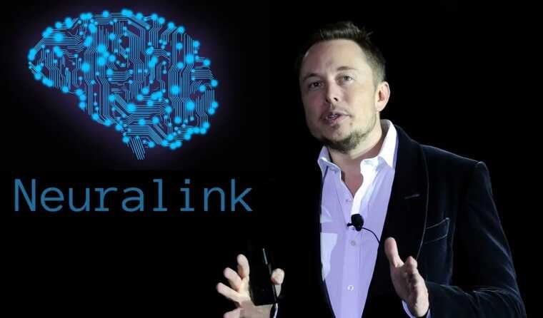 Neuralink    ,      