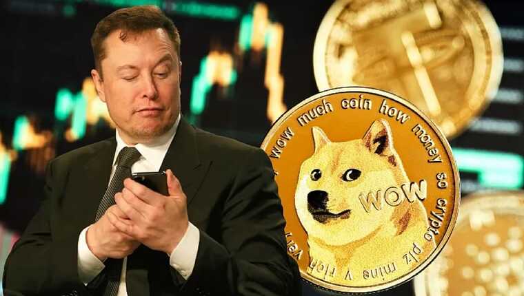          Dogecoin 