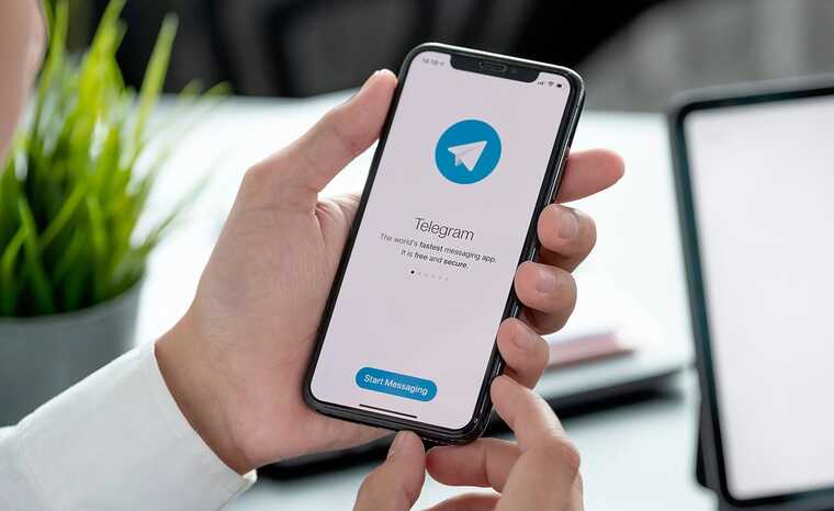  Telegram        iPhone