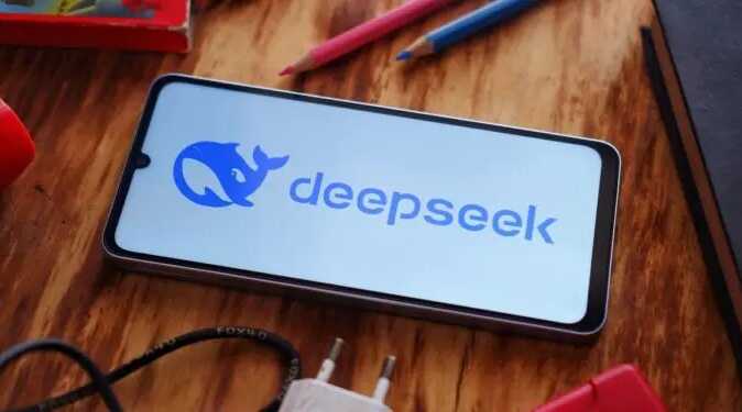  DeepSeek      